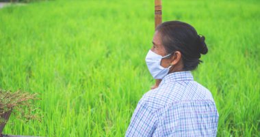 Maskeli son sınıf öğrencisi, yeşil pirinç tarlasına bakın. Gözlerinde fotokopi alanı var. tarım veya organik çevre kavramı. 