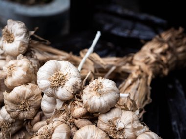 Tahta tepside sarımsaklar. Asya 'nın popüler yemek malzemeleri, kuru ve sağlıklı pişirme otları. Yukarıdaki görünüm formu ve alan arkaplanı kopyala.