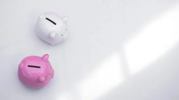 Two Piggy Bank White Background Saving Money Investment Future Business — Stock Photo, Image