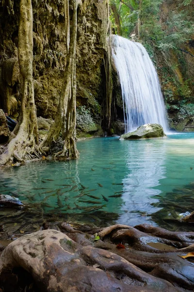 Beautiful mountain tropical waterfall with fast flowing water and rocks. Tropical fish swim in the lake under the sun in a rainforest. Beautiful landscape. Cozy place.