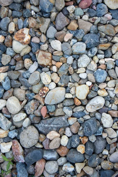 Pequeño Fondo Textura Guijarros Multicolor Piedras Colores Foto Vertical — Foto de Stock