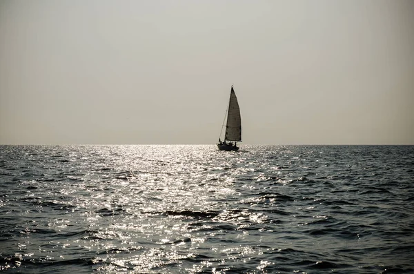 Перегони Вітрильних Яхтах Корабельні Яхти Білими Вітрилами Відкритому Морі Силуети — стокове фото