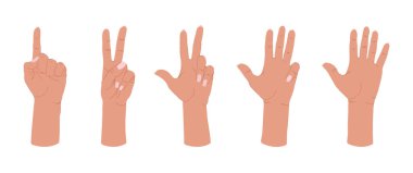 İnsan elinin çeşitli jestleri.