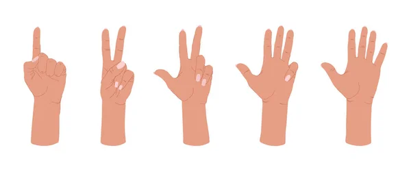 Διάφορες χειρονομίες ανθρώπινων χεριών — Διανυσματικό Αρχείο