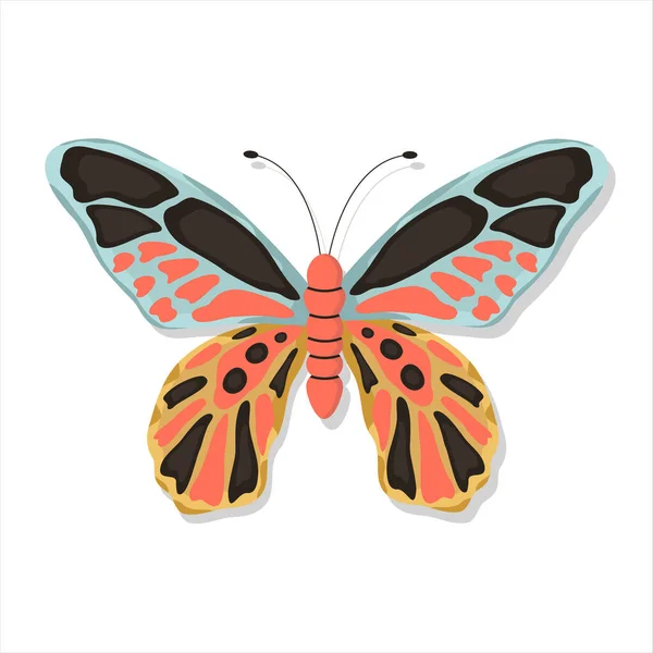 Exotischer Schmetterling auf isoliertem weißem Hintergrund — Stockvektor