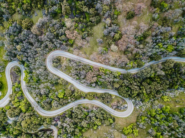 Drohnenblick auf kurvenreiche Straße im Wald — Stockfoto