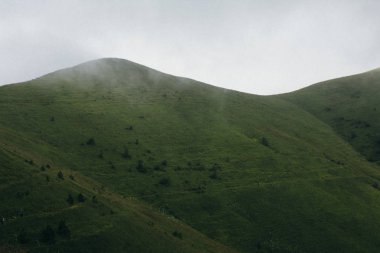 Sisli manzara. Foggy ile kaplı vadi Dağları görünümü.