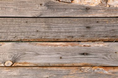 Ağaç dokusu. Tasarım ve dekorasyon için ahşap doku. Parke. zemin panosu.