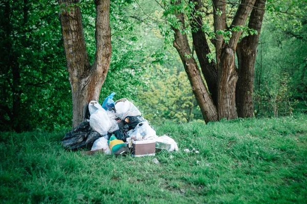 森の中で散乱ゴミ。環境汚染、社会問題. — ストック写真