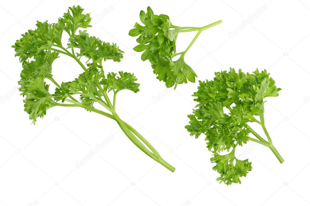 parsley isolated on white background