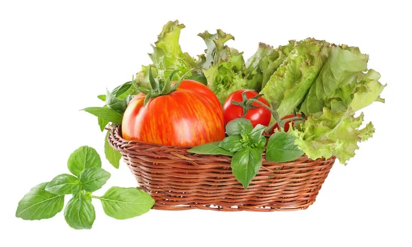 Tomatoes Lettuce Basil Basket — Stock Photo, Image