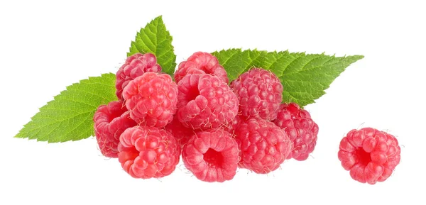 Raspberry Dengan Daun Terisolasi Makro Latar Belakang Putih — Stok Foto