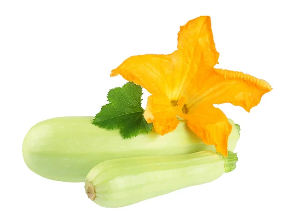 Zucchini Mit Blume Isoliert Auf Weißem Hintergrund — Stockfoto