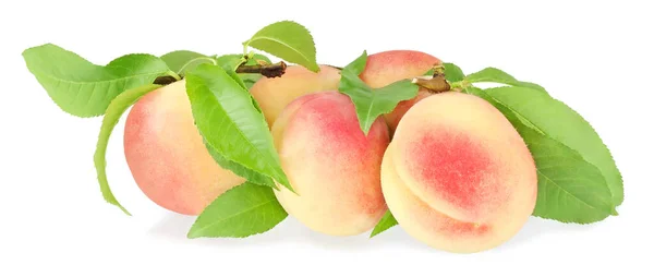 Peaches Branch Isolated White Background — Stock Photo, Image