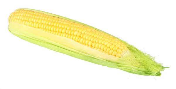 Corn Isolated White Background — Stock Photo, Image