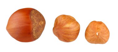 Fındıklar beyaz arkaplanda izole