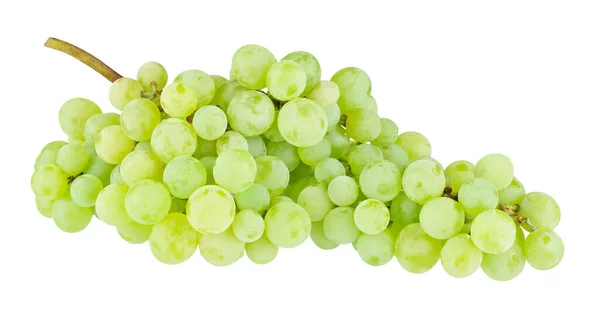 Uvas Verdes Aisladas Sobre Fondo Blanco —  Fotos de Stock