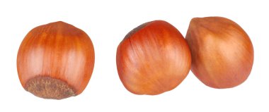 Fındıklar beyaz arkaplanda izole