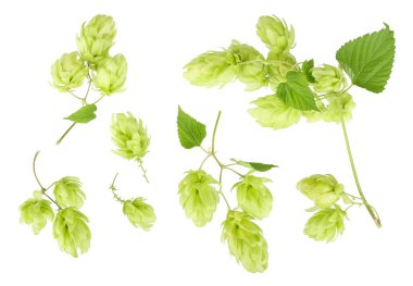 beyaz arkaplanda izole edilmiş sekmeler, üst görünüm