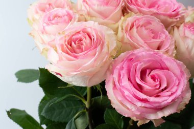 Bir buket narin ve büyük pembe bej gül açık arkaplanda.