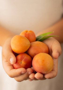 Bej rengi elbiselerin arka planında bir çocuğun ellerinde olgun kayısılar ön planda ise pahalı kayısılar..