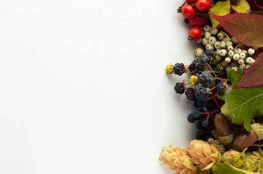 Sonbahar yaprakları ve böğürtlen desenli beyaz arka plan. Metin girmek için boşluk içeren kartpostal.