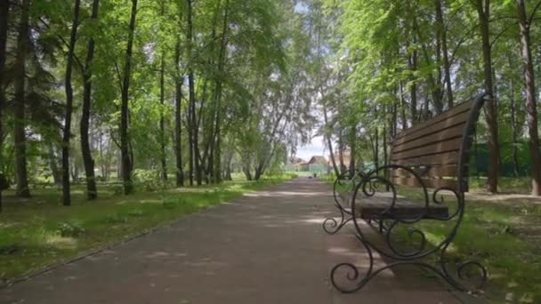 Movimento Câmera Através Jardim Com Flores — Vídeo de Stock