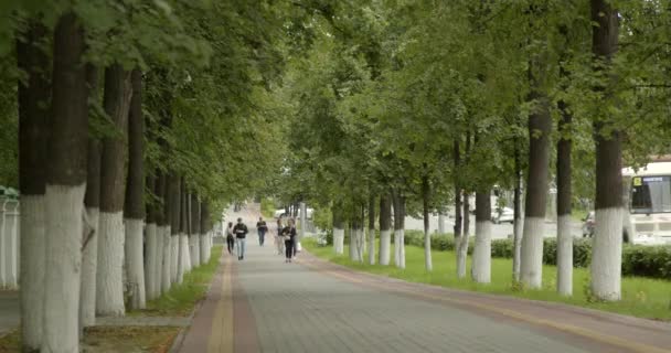 Передвижение Людей Тротуару Дороге Аллее Деревьями — стоковое видео