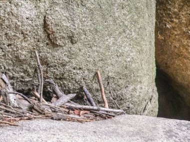 Beton bir arka planda küçük dallar ve kuru çentikler, açık gökyüzünün altında küçük bir ateş için bir yığın yalan.