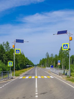Bolca bitki örtüsüyle çevrili aydınlatıcı güneş enerjili levhaları olan Paved yolu...