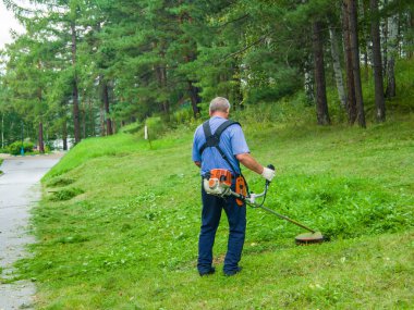 Bir adam ormanın yakınındaki çimleri biçiyor..