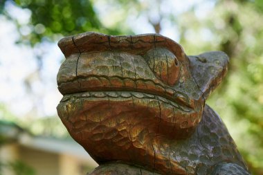 Parkta bir iguananın güzel ahşap heykeli. Yaklaş.