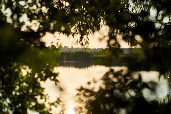 Turuncu günbatımının manzarası gökyüzü ve kırsal nehir ağaç yaprakları arasında