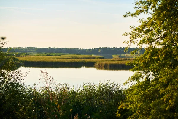 Landscape of the river and blue sky with tree foliage in the foreground during sunset