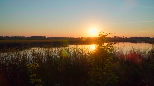 前景に青い空と葦の川の上の夕日のビデオ — ストック動画