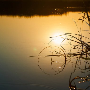Nehirdeki güzel batan güneşin yansımasının kare fotoğrafı.
