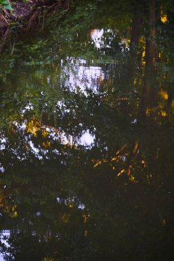 Yeşil tonlarda kırsal bir nehrin dikey fotoğrafı