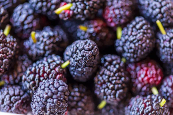 Organic Dark Black Ripe Mulberries Plastic Box Package Sale Morus — Stockfoto