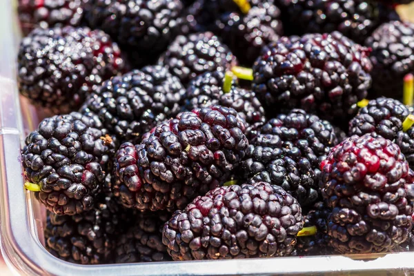 Organic Dark Black Ripe Mulberries Plastic Box Package Sale Morus — Stockfoto