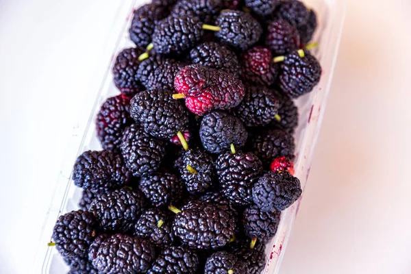 Gelsi Neri Maturi Biologici Confezione Plastica Vendita Morus Mulberry Fruit — Foto Stock