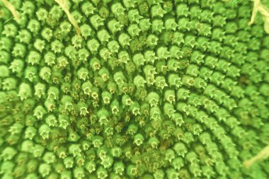 Makro modunda yapılan soyut ve funky arka plan