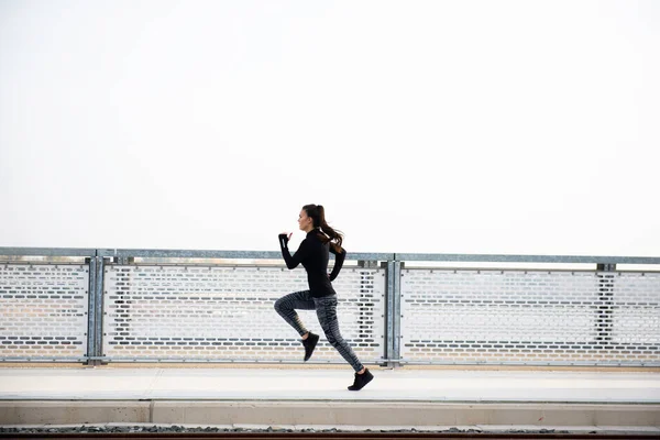 Entrenamiento Femenino Fuera Mantenimiento Salud — Foto de Stock