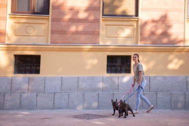 Genç kız şirin mavi buldoglarını sokaklarda yürüyüşe çıkarıyor.