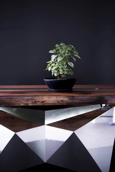 高級手作りエポキシ樹脂テーブルの上の緑の植物 — ストック写真