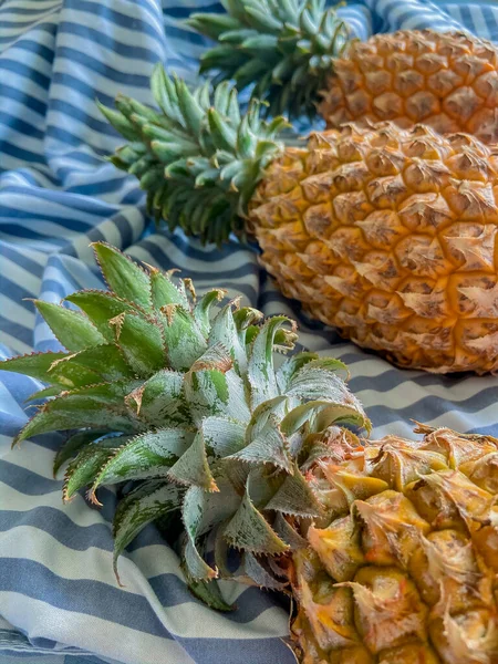 Helle Und Saftige Ananas Aus Thailand — Stockfoto