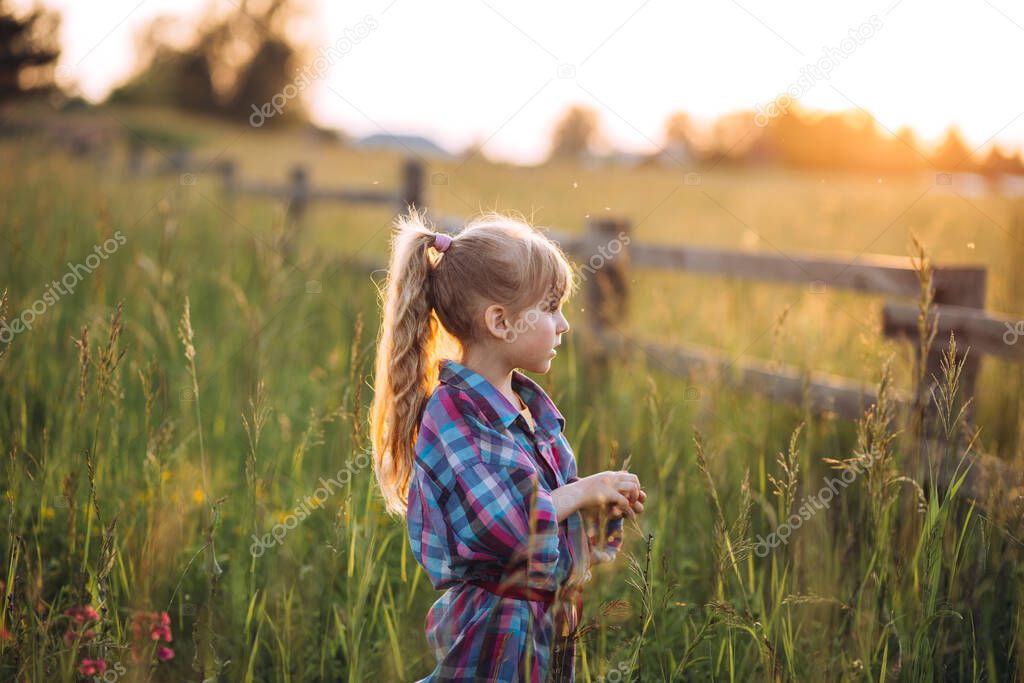Little girl looking far away, standing near wood fence in beautiful field. Walk in field during summer sunset. Image with selective focus and toning. Image with noise.
