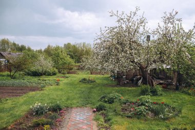 View of a back yard after rain, fresh green nature in countryside after rain in spring, flower beds are ready for planting