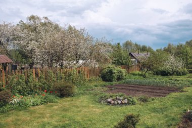 View of a back yard after rain, fresh green nature in countryside after rain in spring, flower beds are ready for planting
