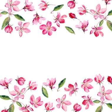 Elle çizilmiş suluboya elma çiçeği çerçevesi. Elma ve kiraz çiçeklerinin suluboya çizimi. Geçmiş, doğum günü, anneler günü vesaire için tebrik kartı olarak kullanılabilir..