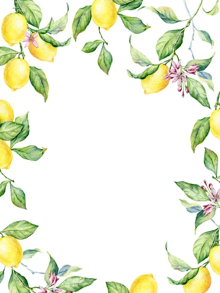 レモン 花や葉の水彩イラストの花輪 誕生日 母の日などのグリーティングカードとして使用できます 白地に隔離された — ストック写真